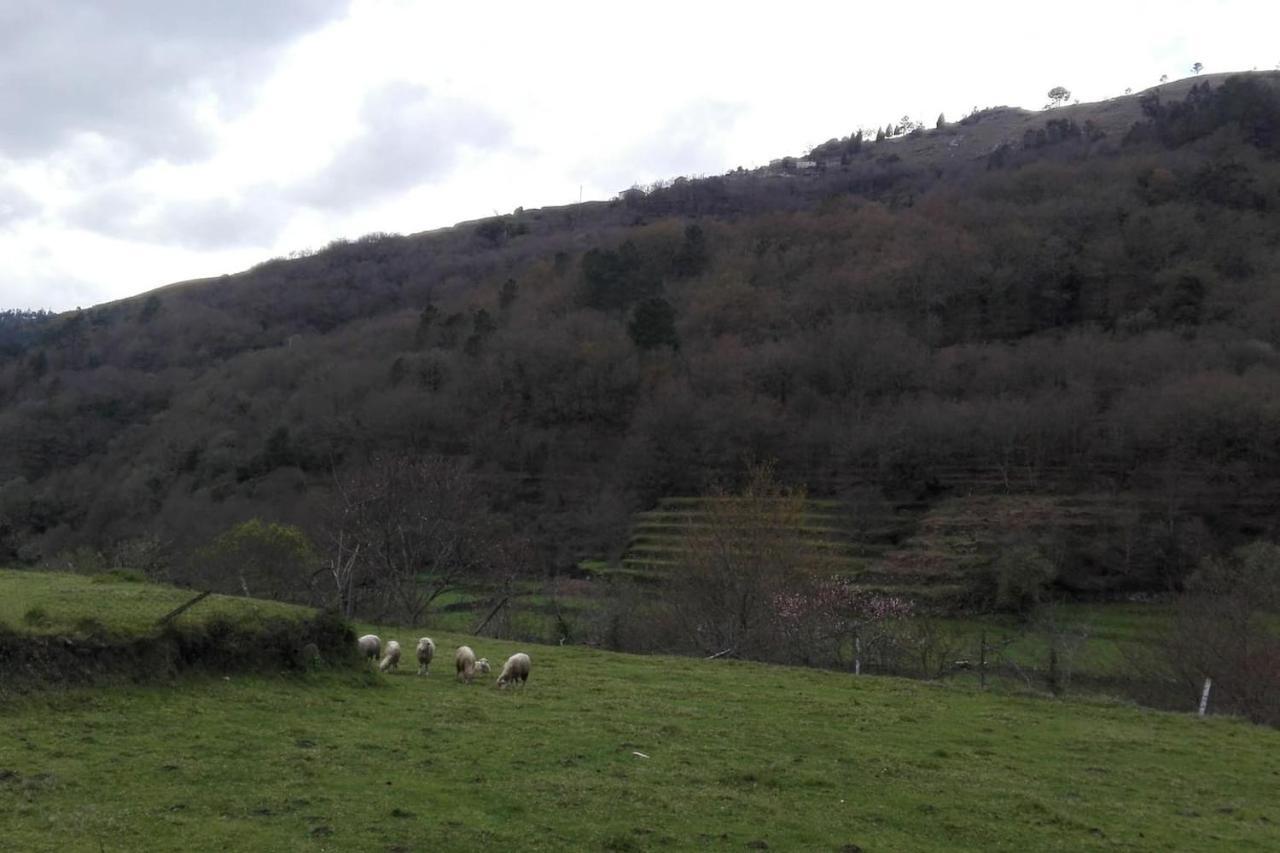 Quinta Da Imaculada Villa Arcos de Valdevez Luaran gambar